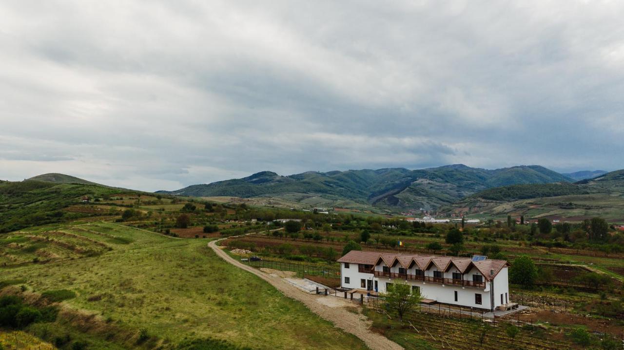 Pensiunea Casa Negrea Magyarigen Kültér fotó